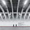 Pier Luigi Nervi. L'architettura molecolare