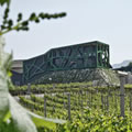 L'architettura del vino in Alto Adige
