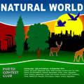 Natural World