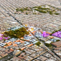 Smart Cities e tecnologie urbane: ne parla Carlo Ratti