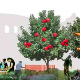 Giardino MOM. Workshop gratuito per progettare un nuovo spazio verde condiviso