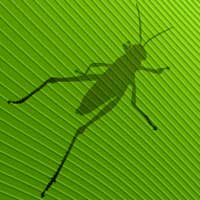 A Lucca si insegnano i segreti della modellazione parametrica con Grasshopper