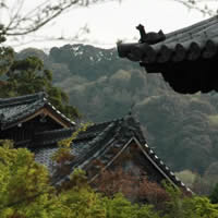 Viaggio in Giappone in occasione dei 10 anni di Casabella Japan