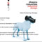 InterAction by Design