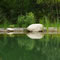 Le biopiscine