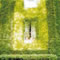Il verde urbano. Dal balcone al giardino pubblico