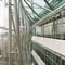 Manchester & Londra