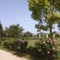 Le Verdi Stanze