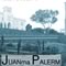 Juan Manuel Palerm