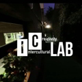 Proposte per ICLAB Intercultural Creativity Laboratory