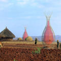 Warka Water: il design al servizio della lotta per la sopravvivenza