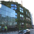 Verde tecnologico: moda passeggera o reale opportunità?