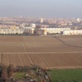 Paesaggio e Agricolture 2.0 a difesa del suolo