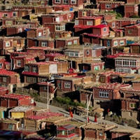 Siena International Photography Awards