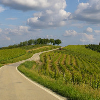 Tecniche di riqualificazione paesaggistica