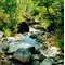 Un progetto per il fiume Giovenco