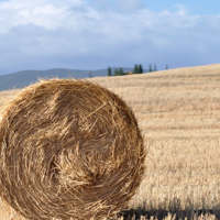 Balle di paglia e intonaci in terra cruda