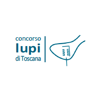 Concorso Lupi di Toscana. Recupero dell'area dell'ex caserma Lupi con l'housing sociale
