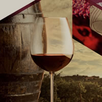 Wine Mythology Label: un'etichetta destinata a trasformarsi in icona per l'Amarone di Valpolicella Negrar