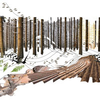 Miralles Tagliabue EMBT vince il concorso Artenoah per la costruzione di un centro di biodiverisità a Rehau