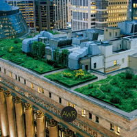 Chicago greening jungle concrete: tetti verdi e orti urbani nei grattacieli di Chicago