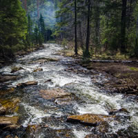 Un polo polifunzionale per l'alta formazione del corpo forestale a Nuoro