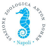 Un allestimento per il Museo Darwin-Dohrn (DaDoM) nella villa Comunale di Napoli