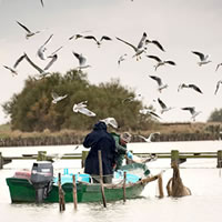 Qualificare i luoghi della pesca. Un progetto coordinato per l'area costiera dell'Emila Romagna