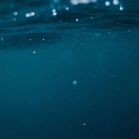 Creazione del marchio e del bollino di qualità dell'INVAT