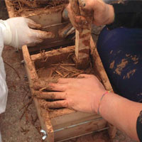 Full Immersion nella Terra: workshop in Sardegna sul restauro delle case in terra cruda