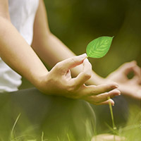 Silent Meditation Forest Cabins: architetture meditative nella foresta lettone