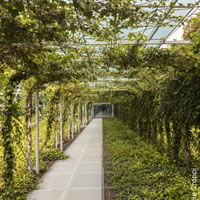 Lectio Magistralis di Guido Canali su "Paesaggi per il Lavoro"