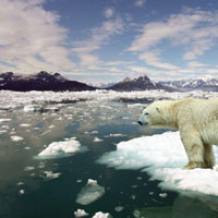 #017 Global Warming Center: un centro di ricerca per due persone tra i ghiacci dell'Artide