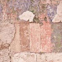 Precursor Conservation Field School: un cantiere-scuola sulla prevenzione del rischio sismico