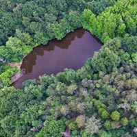Al Parco Boschi di Carrega un workshop teorico pratico di recupero dell'antico reticolo idrografico