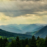 La relazione paesaggistica. Giornate di studio sul paesaggio nel territorio veneto
