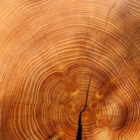 Lectio magistralis di Alvisi e Kirimoto alla Fondazione Bisazza