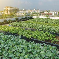 Cultivons notre jardin. A Torino due incontri italo-francesi tra natura e città