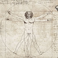 Habitat_ Scenari Possibili 2019 . 4 progetti di arte contemporanea dedicati a Leonardo