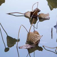 Pechino: luoghi, strutture e illusioni. Inaugura la mostra di Jiehao Su, vincitore del Premio Gabriele Basilico