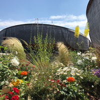 Festival del Verde e del Paesaggio 2019