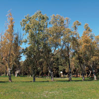 Ricrea. A Lecce, il legno di scarto si trasforma per riqualificare un parco comunale in disuso