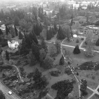 Parco delle Terme di Levico. Installazioni ispirate alla resilienza per far rinascere il paesaggio dopo la tempesta del 2018