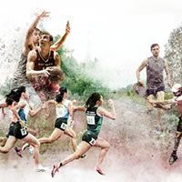 Sport Citadel. Una cittadella dello sport alle porte di Torino