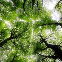 Linee di Paesaggio. Interpretare il territorio attraverso l'arte