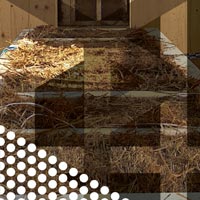 Agritettura, lezione in... campo. Visita al cantiere di studio Monterisi