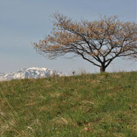 Colline delle Bregonze. Un logo per promuovere il territorio e incentivare il turismo