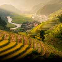 Rural Tourism Accommodation. Tra le risaie vietnamite un'architettura per viaggiatori in cerca di pace e bellezza
