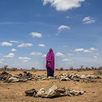 World Water Day Photo Contest. Concorso fotografico sul cambiamento climatico e l'attenzione sull'acqua