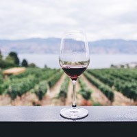 L'architettura del vino nell'era dell'enoturismo. A Firenze con progettisti ed esperti internazionali